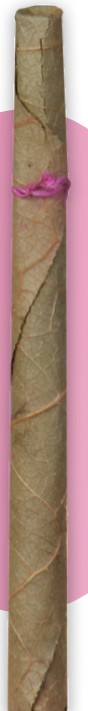 Beedi Pack 3